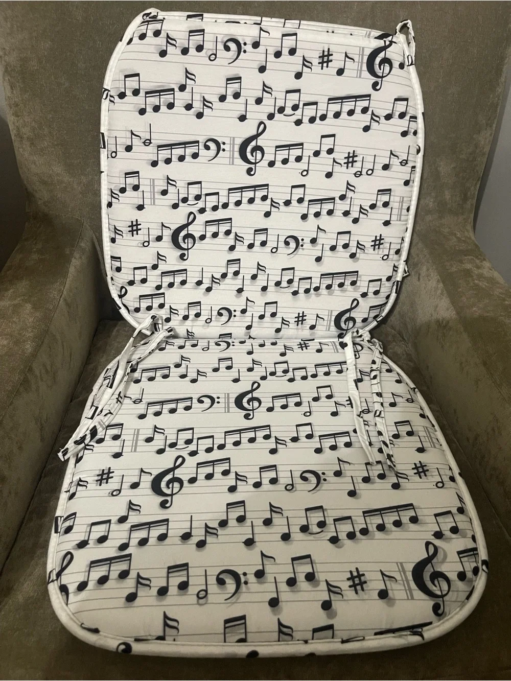 Musical Chair Cushions